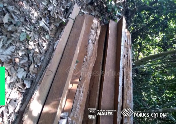 67842297_1141841946017292_7049969511058898944_n