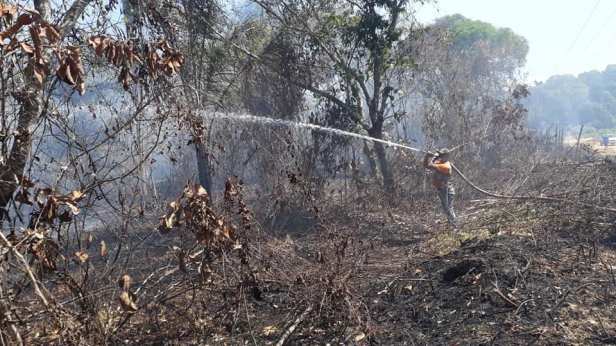 68984660_1139963532861943_3189339282607177728_n