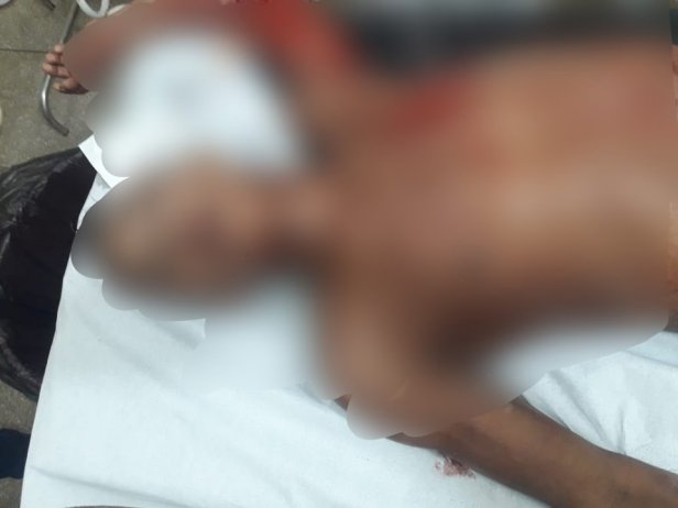 69398271_1156746904526796_28808604807069696_n