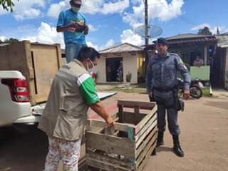 106597798_1411890205679130_4753142762394129973_o